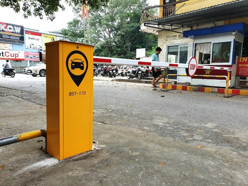 GOLDEN VIỆT