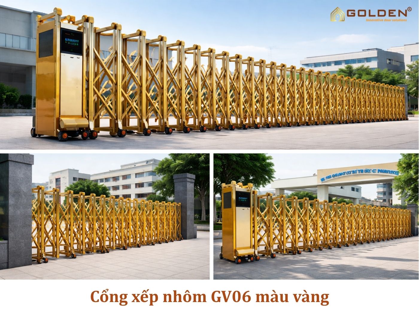 GOLDEN VIỆT