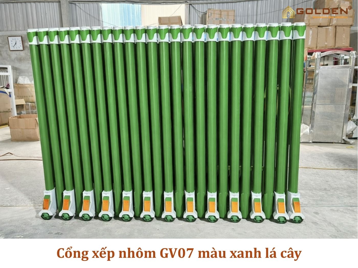 GOLDEN VIỆT