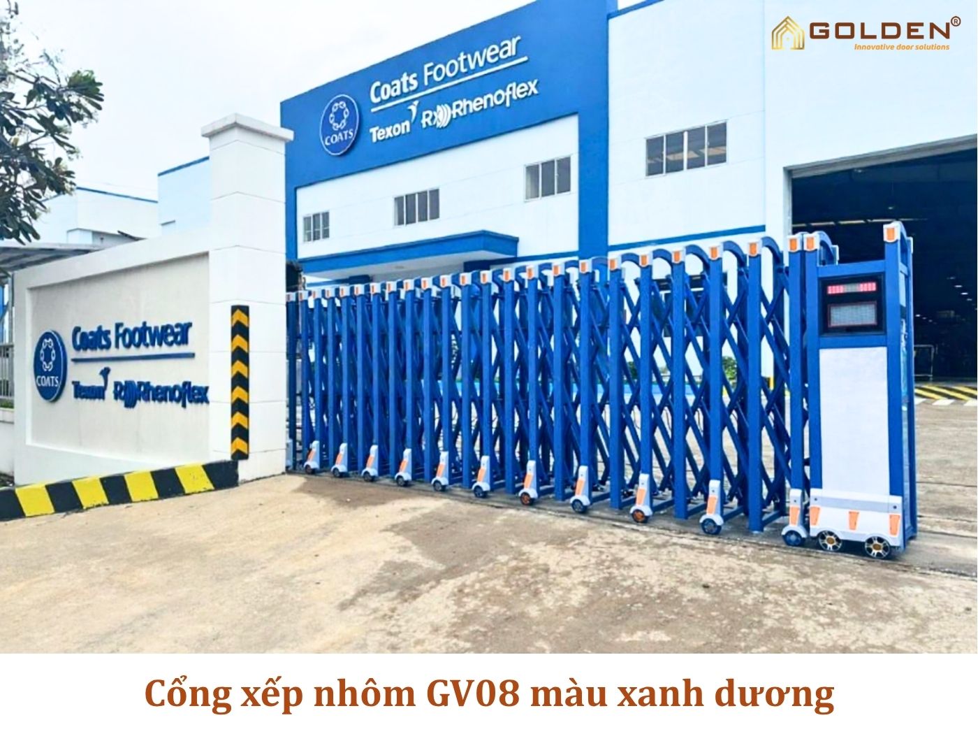 GOLDEN VIỆT