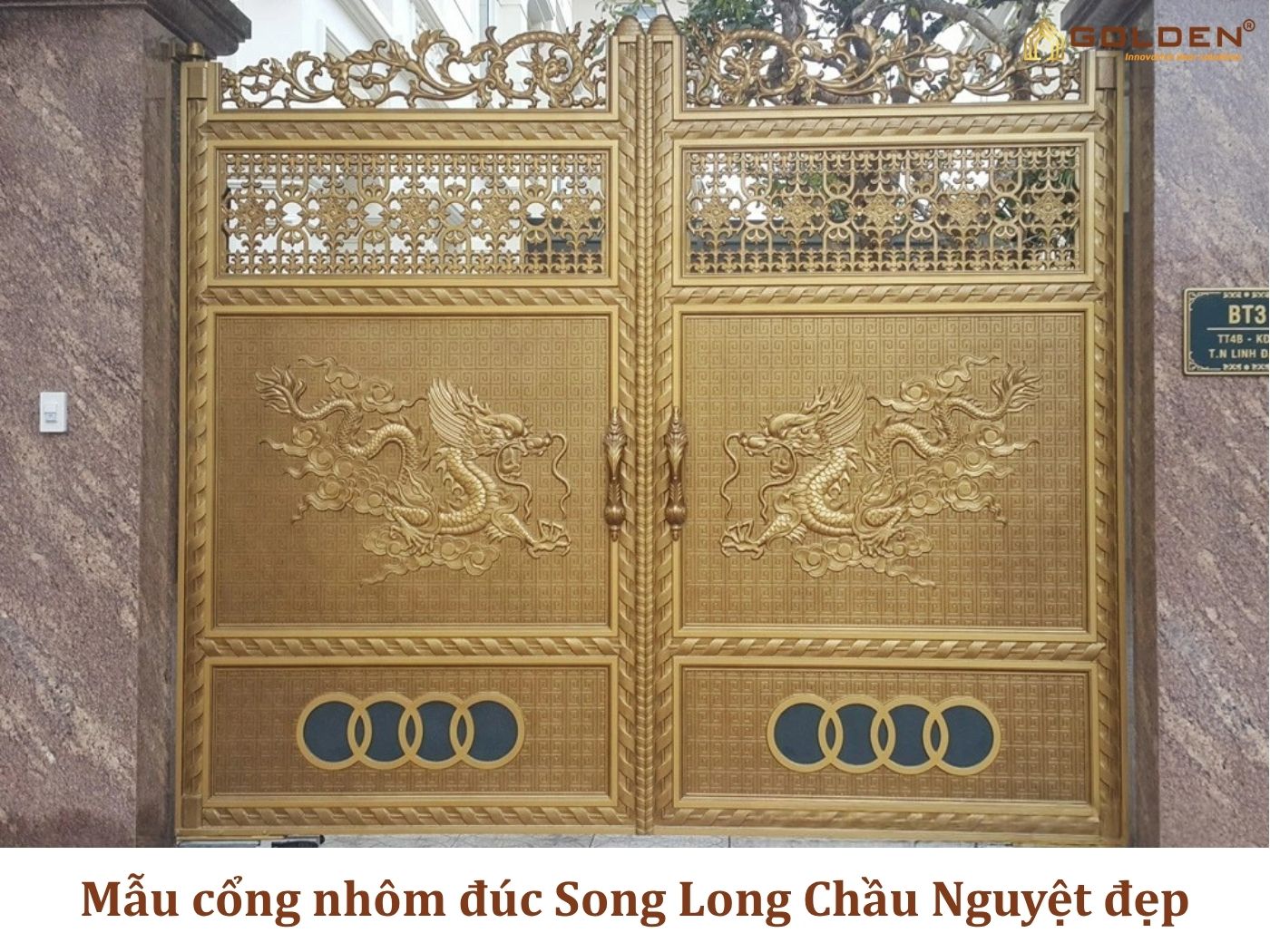 Mẫu cổng nhôm đúc Song Long Chầu Nguyệt đẹp