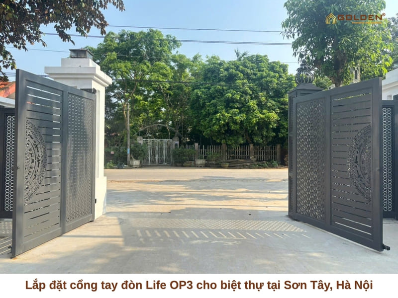 GOLDEN VIỆT