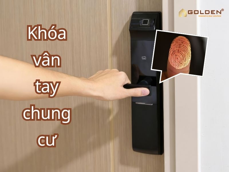 10+ Mẫu khóa vân tay chung cư thông minh bền bỉ, giá tốt