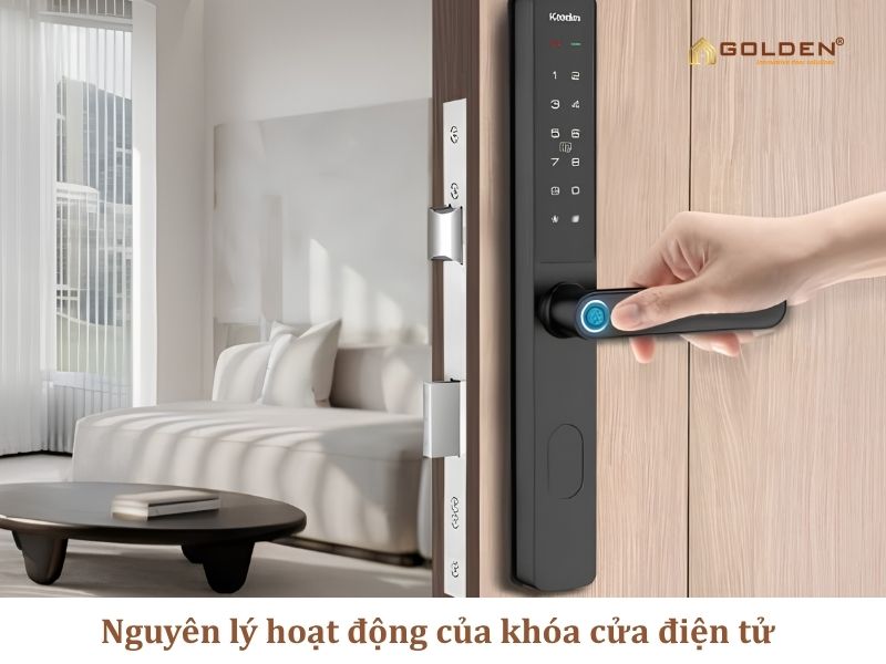 Nguyên lý hoạt động của khóa cửa điện tử